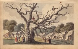 Fairlop Oak
