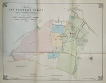 Presdales Estate Ware