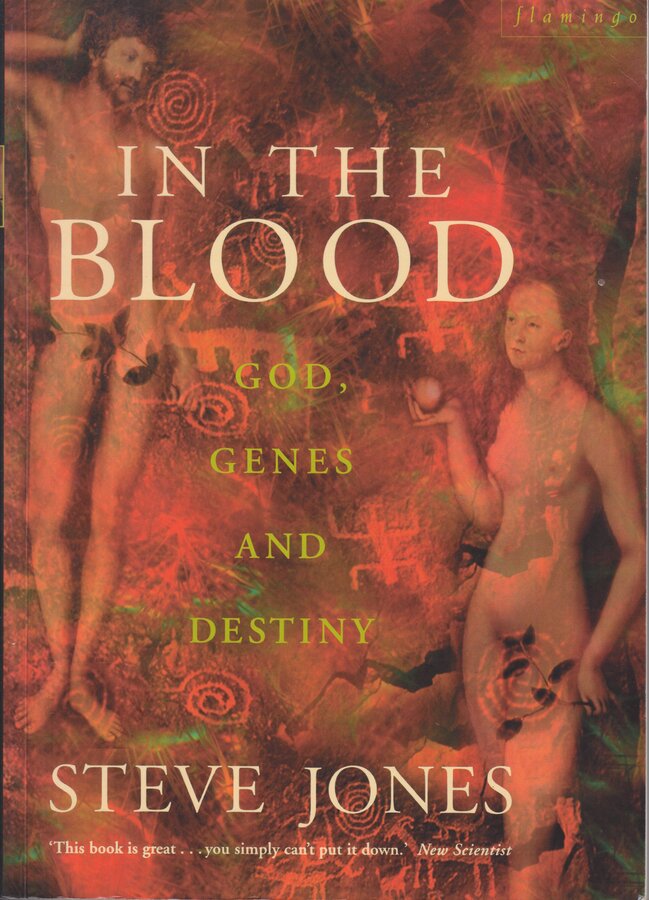 In The Blood Steve Jones